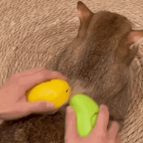 CatSpray 3 em 1