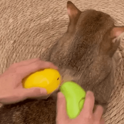 CatSpray 3 em 1