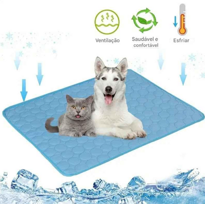 GelaCat™