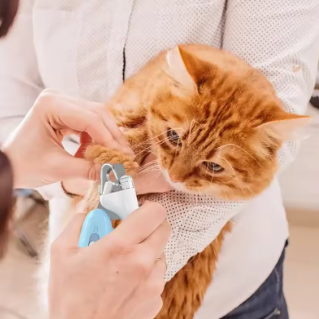 CorteLeve Pet- Cortador de unhas para Pets