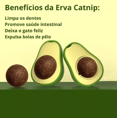 AvoCat