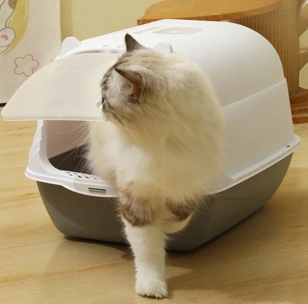 Caixa de Areia Fechada para Gatos – Sand-Box