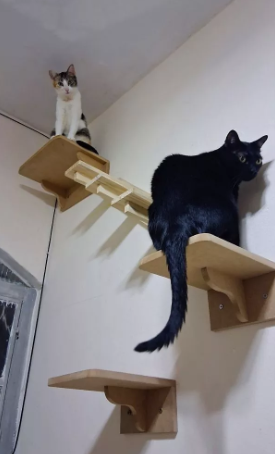 PetGrau